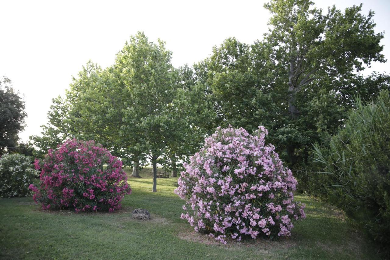 Agriturismo La Fonte Di San Girio Pension Potenza Picena Buitenkant foto